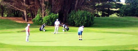 Golf en Necoche Buenos Aires