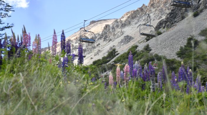 La Hoya verano 1