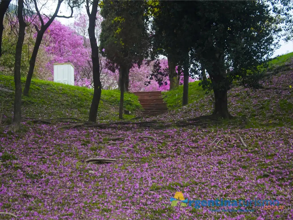 Foto de Paraná