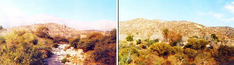 Poman Catamarca