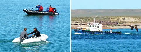 Turismo en Puerto Deseado Santa Cruz