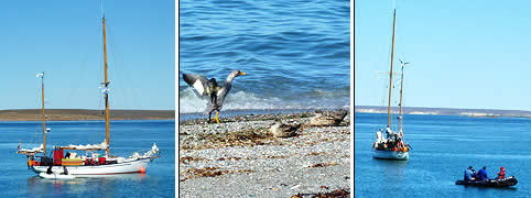 Turismo en Puerto Deseado Santa Cruz