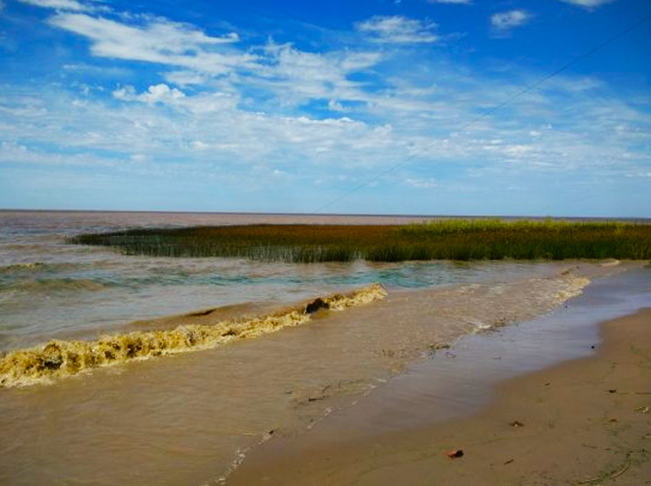 Turismo Rural en Punta Indio - Imagen: Argentinaturismo.com.ar