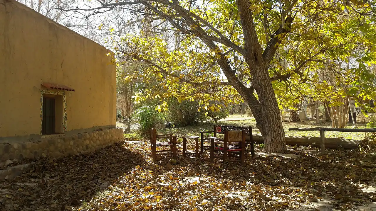 Rancho Por Fin
