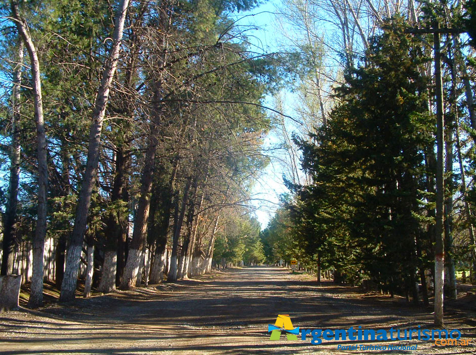 Turismo de Ro Colorado - Imagen: Argentinaturismo.com.ar