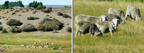 Turismo Rural en Rio Mayo Chubut