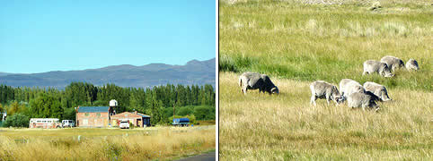 Turismo Rural en Rio Mayo Chubut