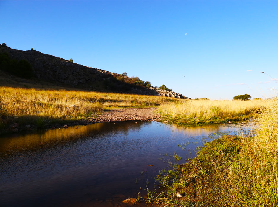 Pesca Deportiva en Saavedra