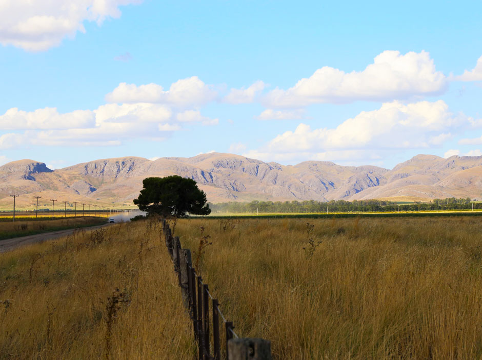 Turismo Rural en Saavedra