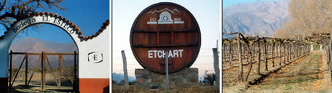 Bodegas en Salta