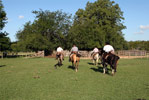 Turismo Alternativo en San Antonio de Areco