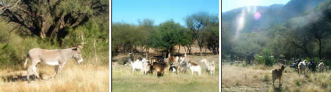 Circuito Rural en San Luis