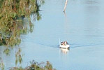 Pesca Deportiva en San Pedro