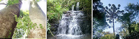 Parque Cruce Caballero San Pedro Misiones