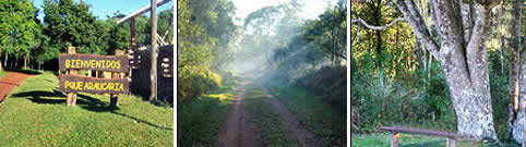 Parque Araucaria San Pedro Misiones