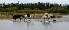 Turismo Rural en Santa Cruz