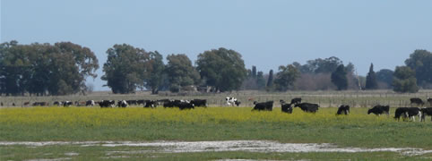 Santa Rosa La Pampa