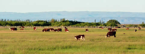 Turismo en Sarmiento Chubut