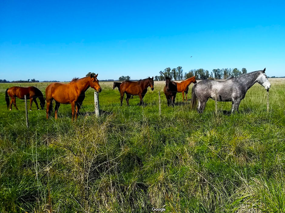 Turismo Rural en Toms Jofr - Imagen: Argentinaturismo.com.ar