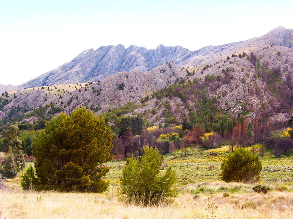 Turismo Rural en Tornquist - Imagen: Argentinaturismo.com.ar