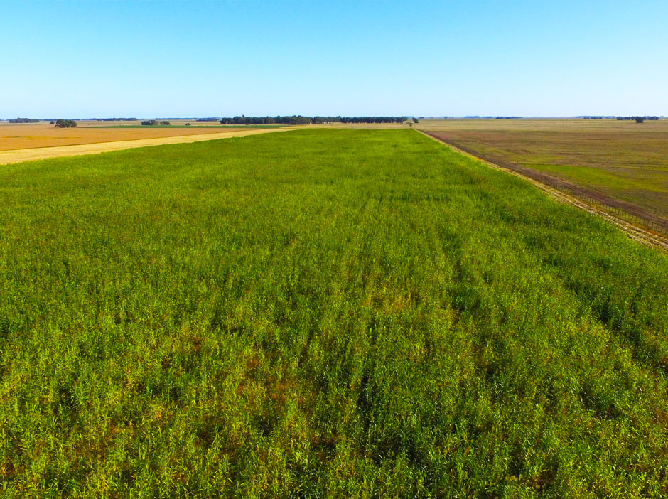 Turismo Rural en Tres Arroyos