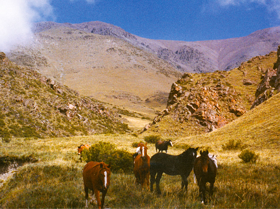 Turismo Aventura de Tunuyan - Imagen: Argentinaturismo.com.ar