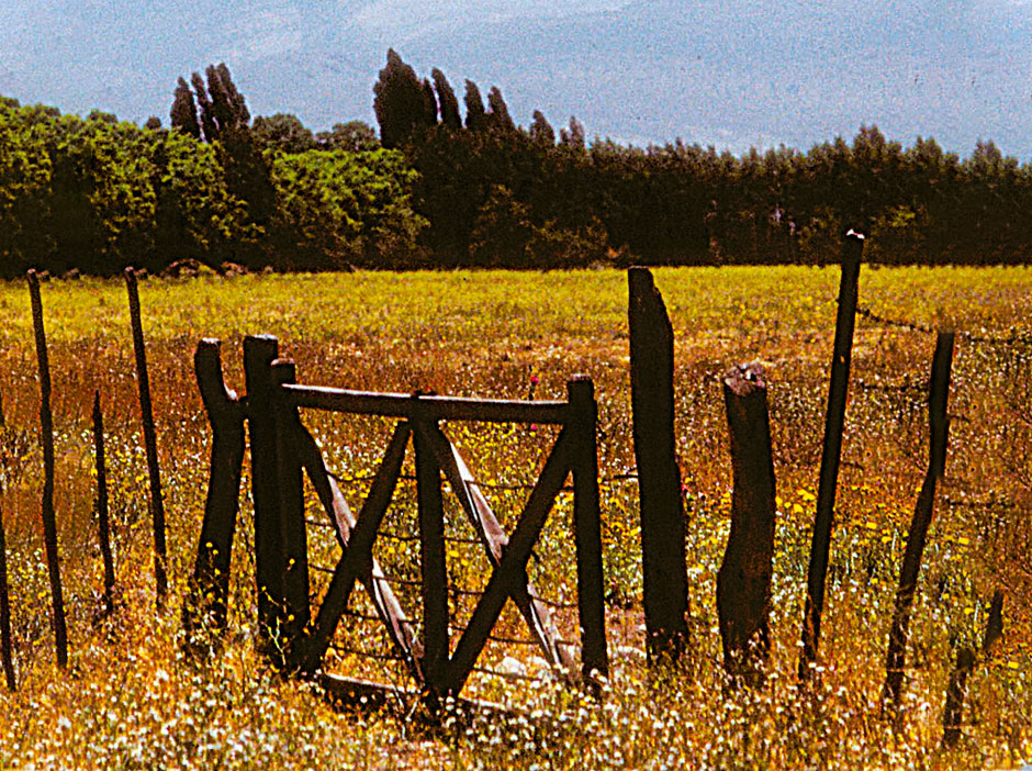 Historia de Tupungato - Imagen: Argentinaturismo.com.ar