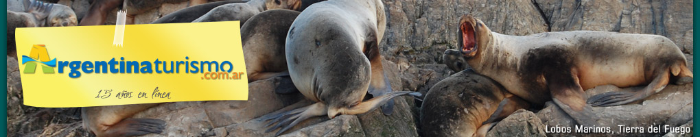 Lobos Marinos, Tierra del Fuego
