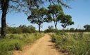 Parque Nacional Chaco