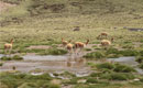 Parque Nacional San Guillermo