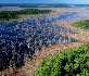 Pesca en Formosa