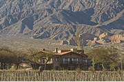 La Casa De La Bodega -  Wine Boutique Hotel