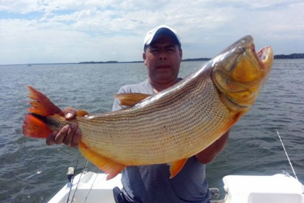 Tata Gutierrez Pesca - Hijo