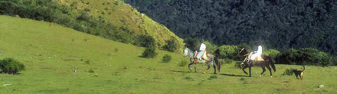 Cabalgatas en Argentina