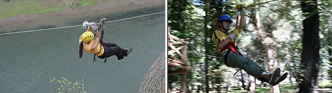 Canopy en Argentina