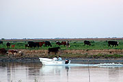 Baradero