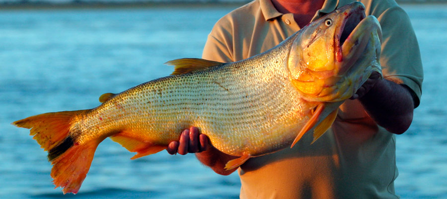 Pesca Deportiva en Argentina