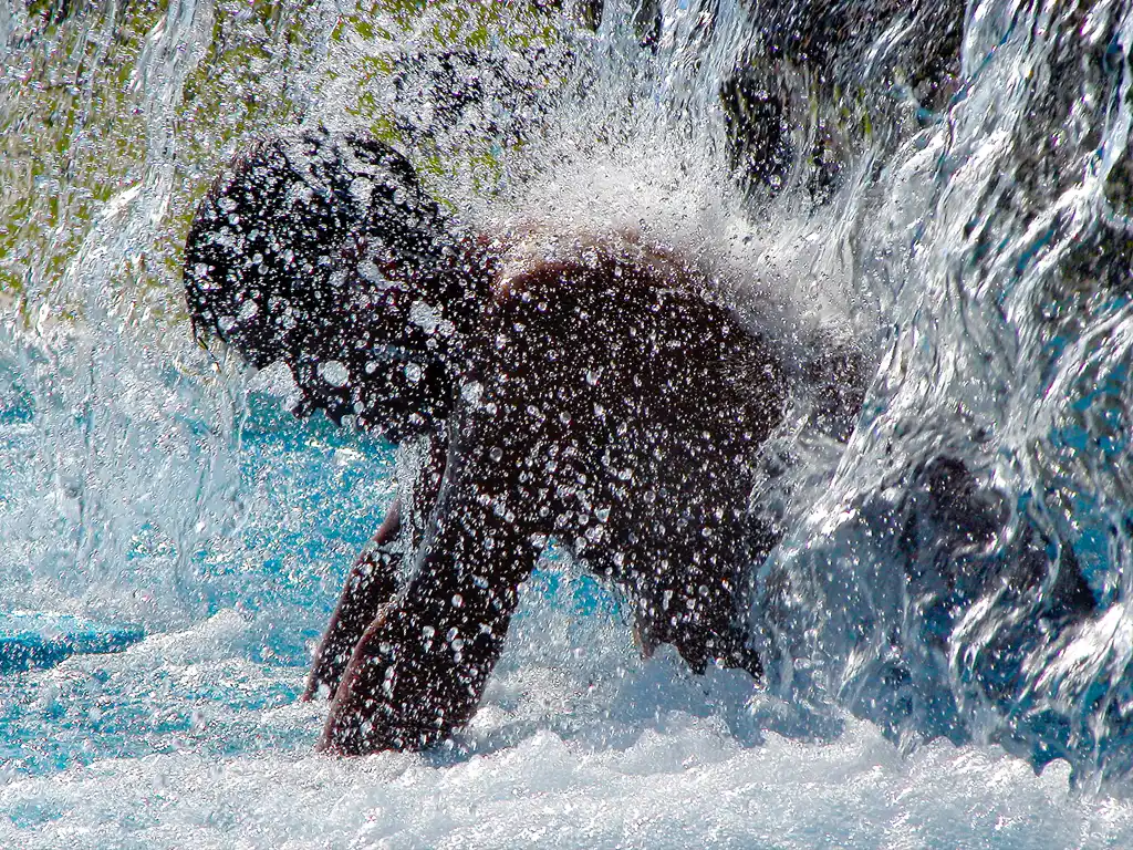 Termas