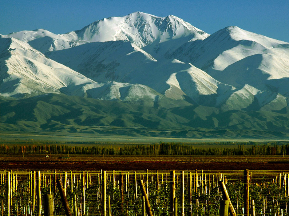 Caminos del Vino de Valle de Uco - Imagen: Argentinaturismo.com.ar