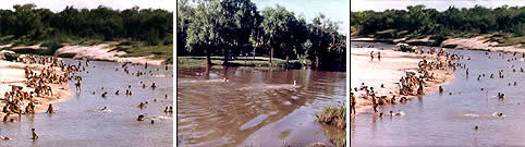 Playas Villaguay Entre Rios