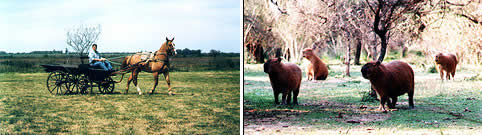 Turismo Rural Villaguay Entre Rios