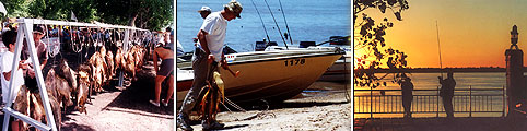 Pesca en Villa Urquiza