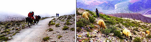 Volcan Jujuy